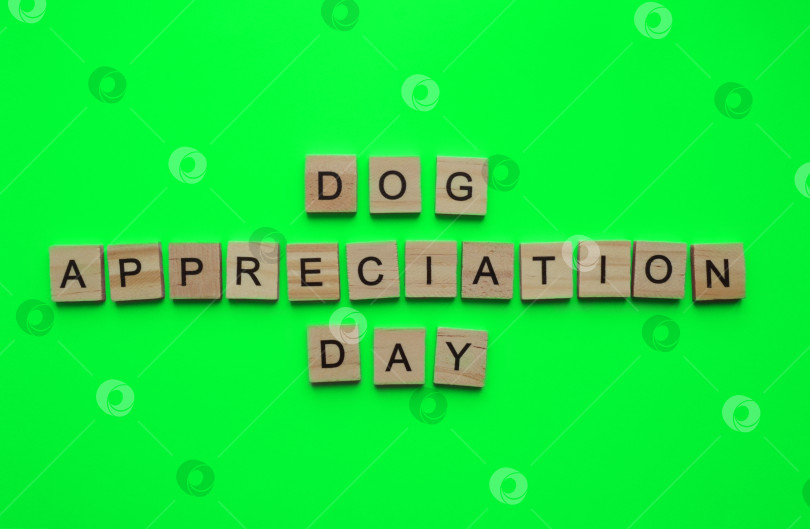 Скачать 26 августа, День благодарности собакам, минималистичный баннер с надписью in фотосток Ozero