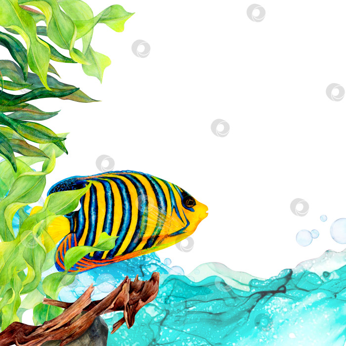 Скачать Акварельный рисунок, иллюстрирующий ленточные водоросли, королевскую рыбу-ангела, корягу, пузырьки воздуха и голубую прозрачную волну воды на белом фоне. Подводный набор для наклеек, логотипов, текстильной печати фотосток Ozero