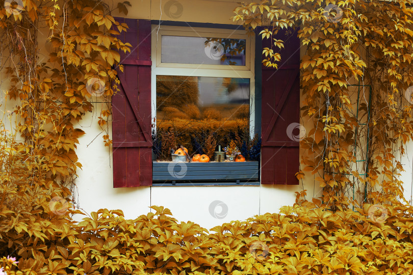 Скачать Дом украшен к осенним праздникам. Украшения для Хэллоуина фотосток Ozero