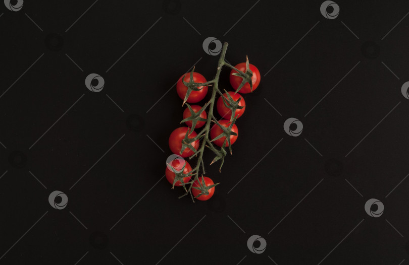Скачать овощи на черном фоне фотосток Ozero