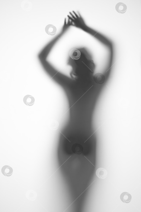 Скачать силуэт беременной женщины на светлом фоне фотосток Ozero