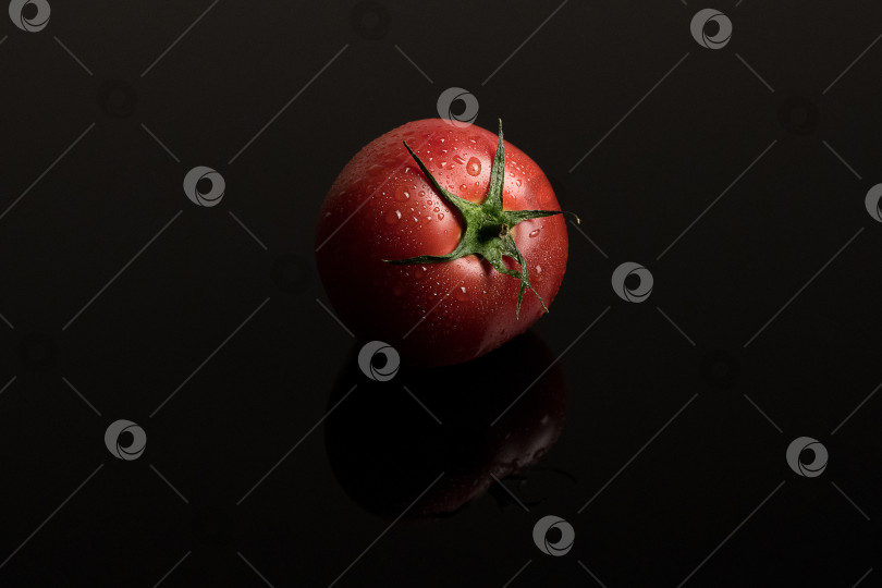 Скачать помидоры на черном фоне фотосток Ozero
