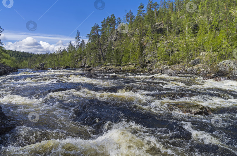 Скачать Пороги на реке Кутсайоки, Мурманская область, Россия. фотосток Ozero