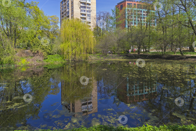 Скачать Современные здания отражаются в старом пруду. фотосток Ozero