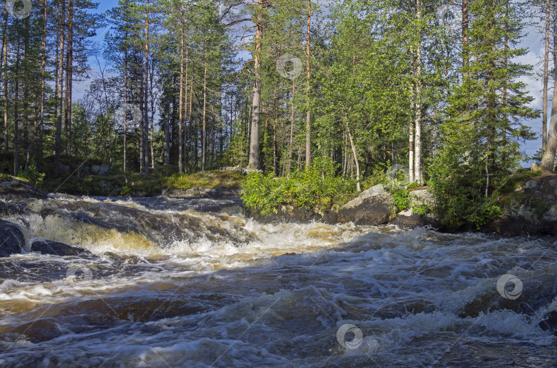 Скачать Речные пороги. Карелия, Россия. фотосток Ozero