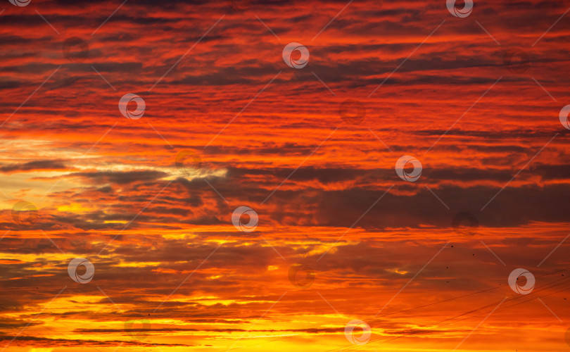 Скачать облака на закате фотосток Ozero