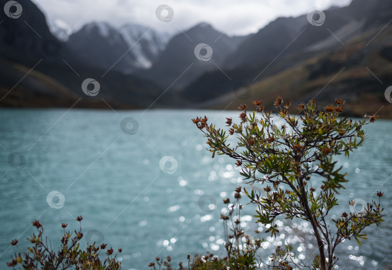 Скачать горный пейзаж фотосток Ozero