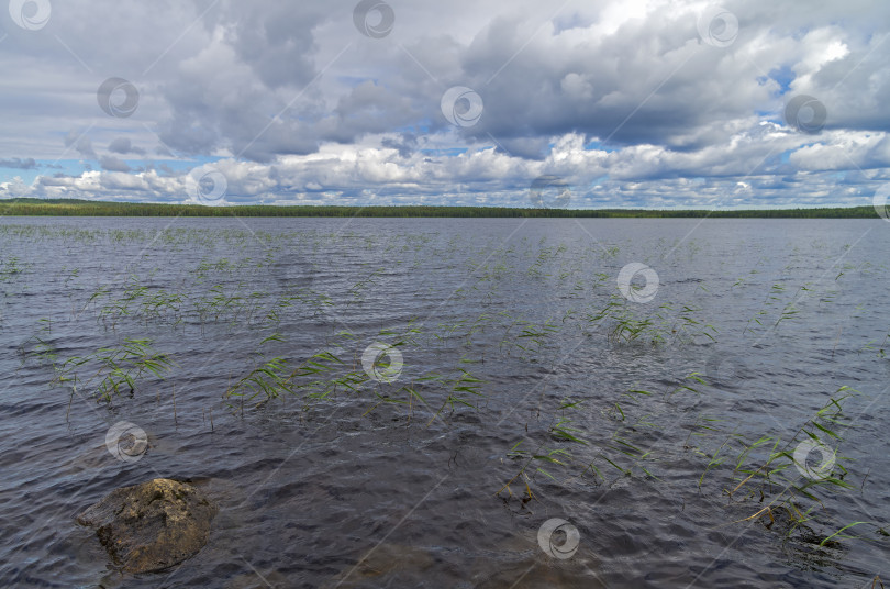 Скачать Облака над озером. фотосток Ozero