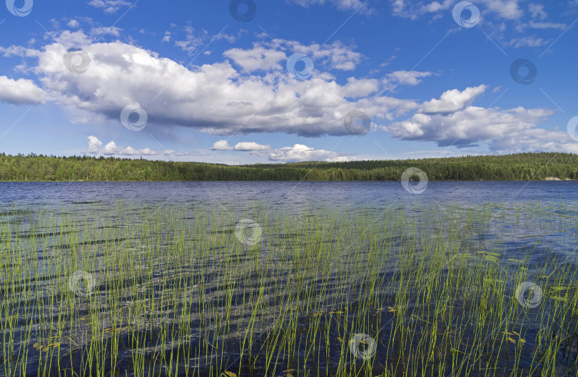 Скачать Облака над озером. фотосток Ozero