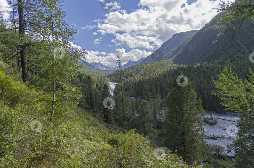 Скачать Алтайские горы, река Кучерла. фотосток Ozero