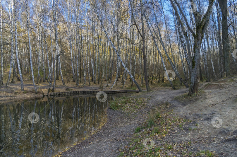 Скачать Пруд в лесопарке в конце октября. фотосток Ozero