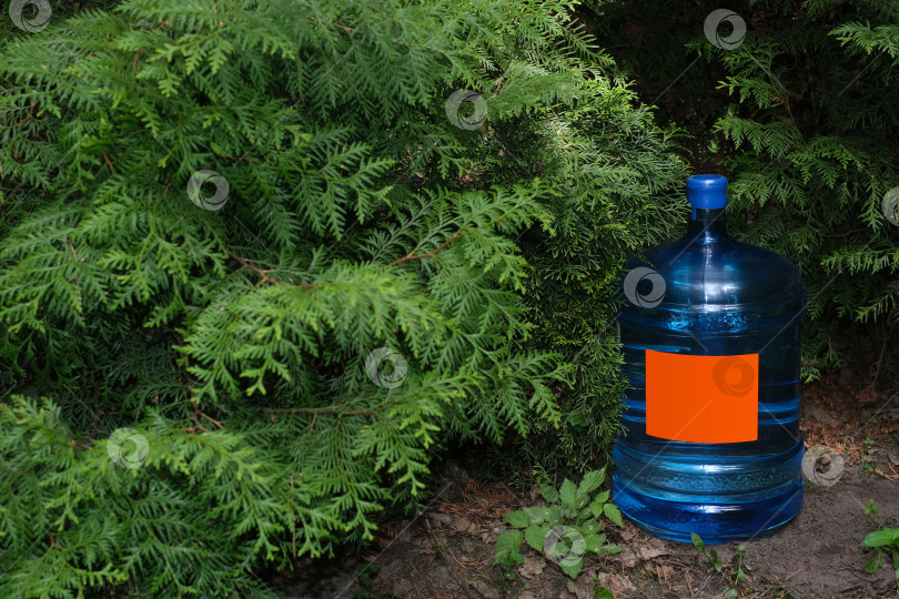 Скачать Большая синяя бутылка с водой на фоне зеленого леса. Дизайн упаковки фотосток Ozero