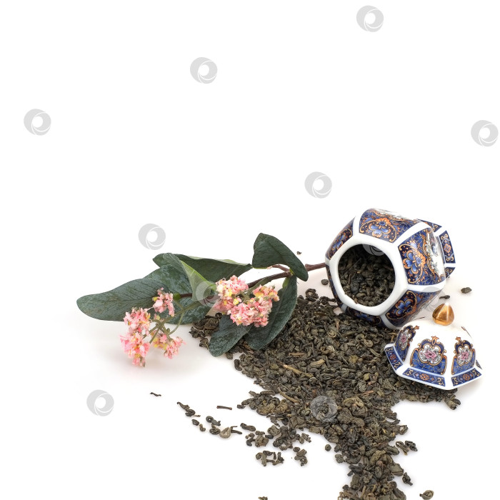 Скачать Пролитый чай, фарфоровый японский сосуд и цветущая ветка, выделенные на белом фоне фотосток Ozero