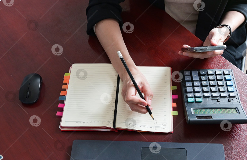 Скачать Вид сзади на женщину-финансового менеджера, рисующую различные графики и схемы на стене в офисе фотосток Ozero