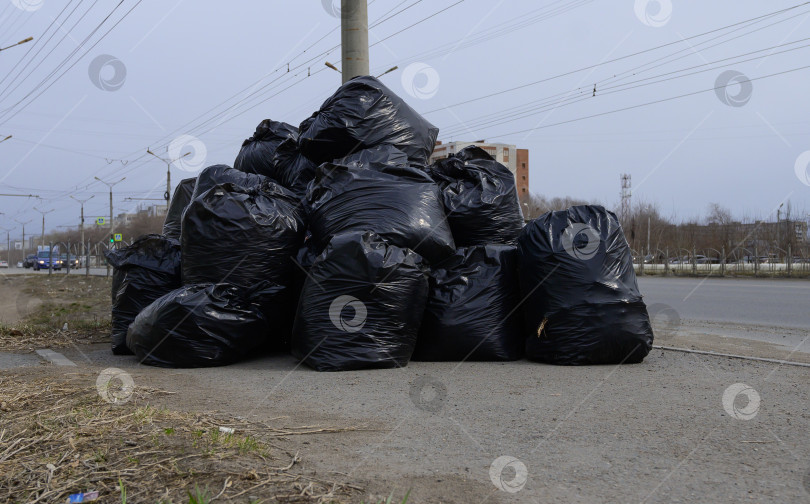 Скачать Мусор собирают в мешки после уборки улицы. Защита окружающей среды. фотосток Ozero