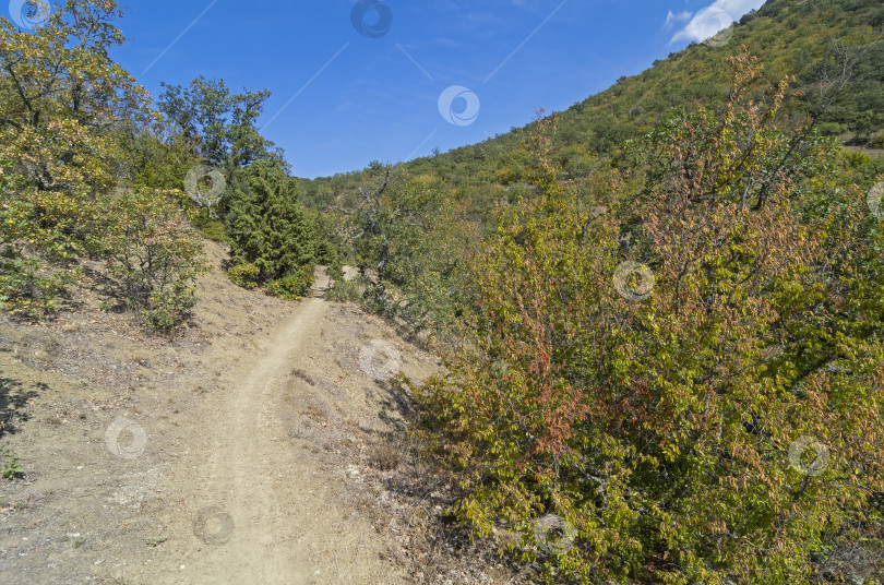 Скачать Пешеходная тропа в Крымских горах. фотосток Ozero