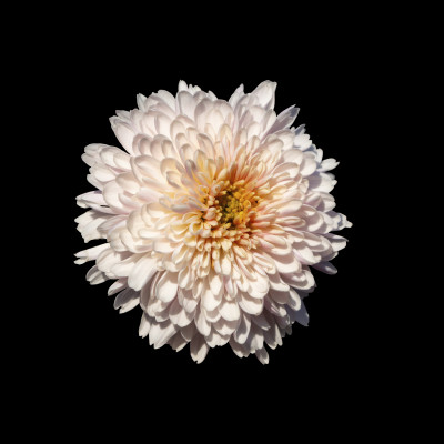 [object Object] undefined