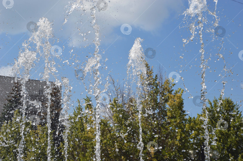 Скачать Вертикальные струи фонтанной воды на фоне зеленых деревьев и голубого неба. фотосток Ozero