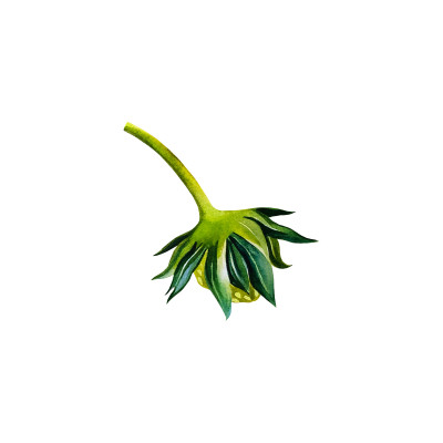 [object Object] undefined