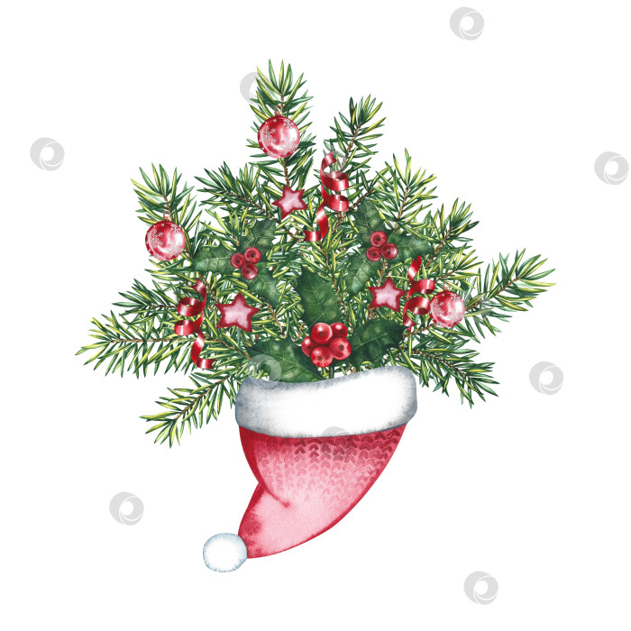 Скачать Рождественский букет в шляпе Санта-Клауса. Акварельная иллюстрация. Для нанесения надписей на пригласительные открытки, упаковку, этикетки. фотосток Ozero