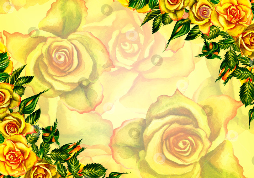 Скачать Розы желтые. Цветочная рамка. Акварельная иллюстрация. Для свадебных, поздравительных и пригласительных открыток акварельный дизайн. фотосток Ozero