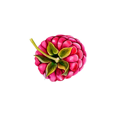 [object Object] undefined