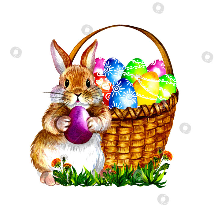 Скачать Счастливой пасхи. Пасхальный кролик и корзинка с разноцветными яйцами. фотосток Ozero