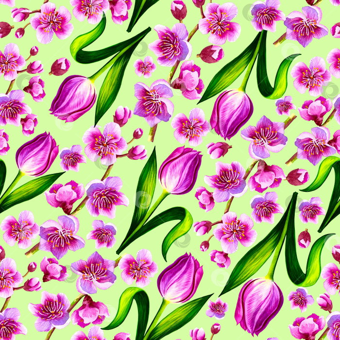 Скачать Весенний нежный узор с розовыми тюльпанами и сакурой на зеленом фоне. фотосток Ozero