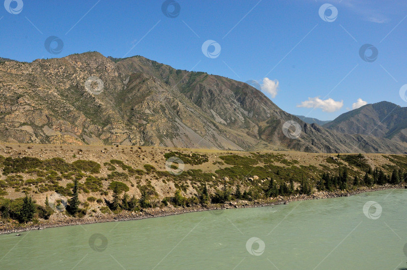 Скачать Фрагмент широкой бирюзовой реки с высокими скалистыми берегами и редкими высокими снами, протекающей по красивой долине у подножия горного хребта. фотосток Ozero