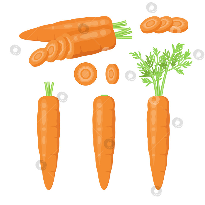Скачать Набор спелых морковок фотосток Ozero