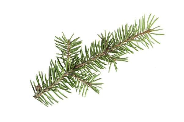 [object Object] undefined