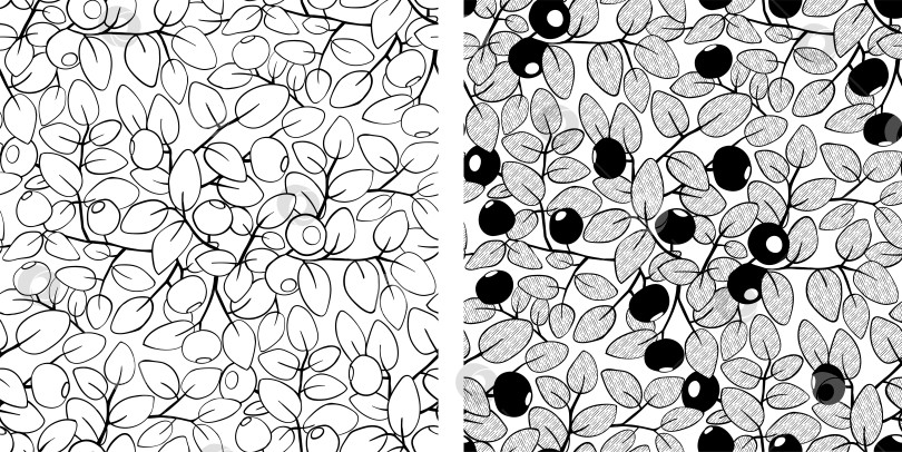 Скачать Черничный черно-белый бесшовный узор. Векторная иллюстрация ручной работы фотосток Ozero