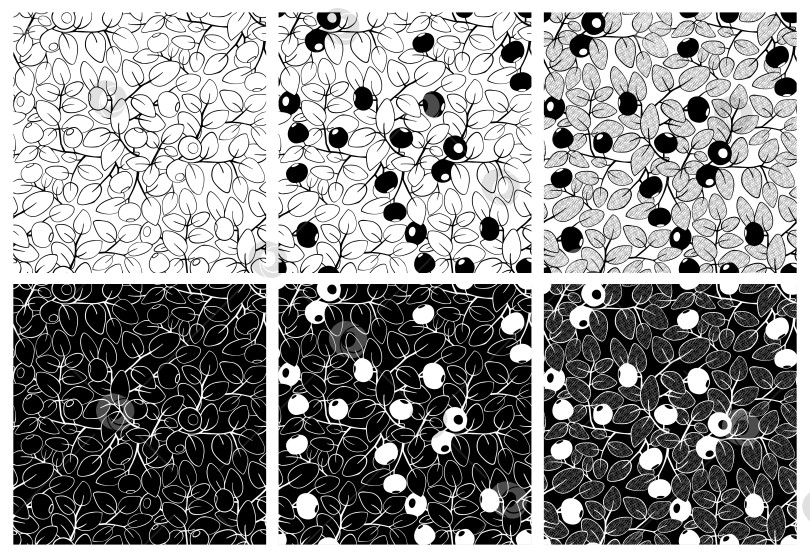 Скачать Черничный черно-белый бесшовный узор. Векторная иллюстрация ручной работы фотосток Ozero