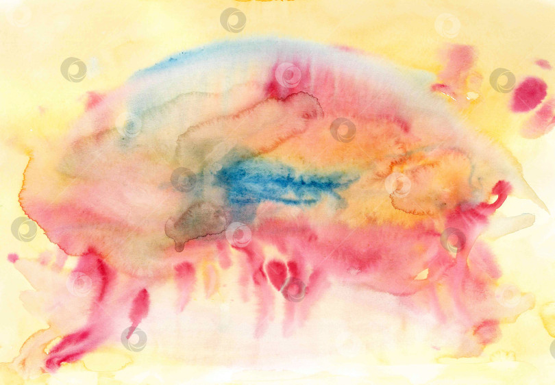 Скачать Большое акварельное изображение ярко раскрашенной медузы. Гладкая, округлая, полупрозрачная шляпка. Изящные розовые псевдоподии развеваются пушистой бахромой. Красота и разнообразие окружающего мира. фотосток Ozero