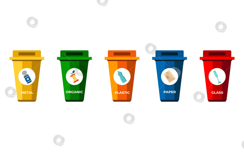 Скачать Разделение отходов. Сортировка мусора по материалу и типу в цветные мусорные баки. Векторная инфографика по разделению и переработке мусора. фотосток Ozero