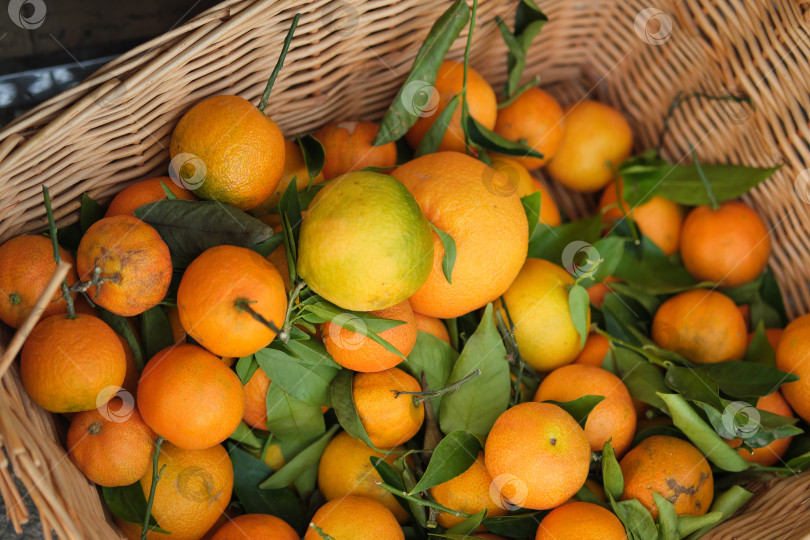 Скачать Изолированное концептуальное изображение для создания фона: корзины с апельсинами на рынке фотосток Ozero