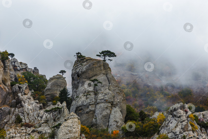 Скачать Долина привидений фотосток Ozero