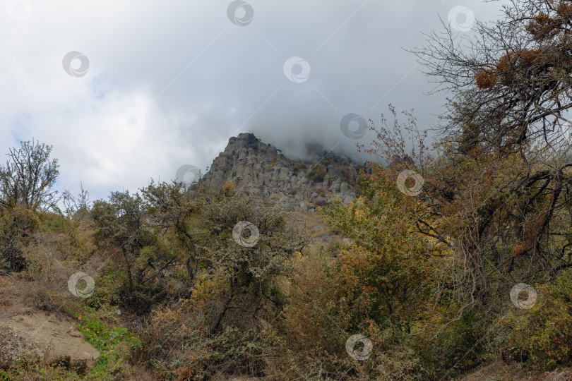 Скачать Гора Демерджи фотосток Ozero