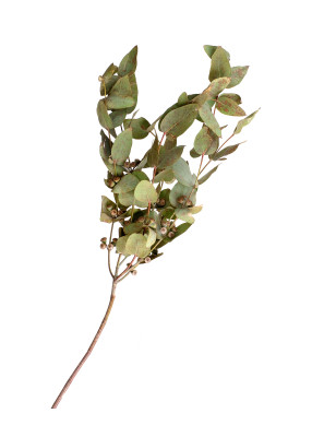 [object Object] undefined