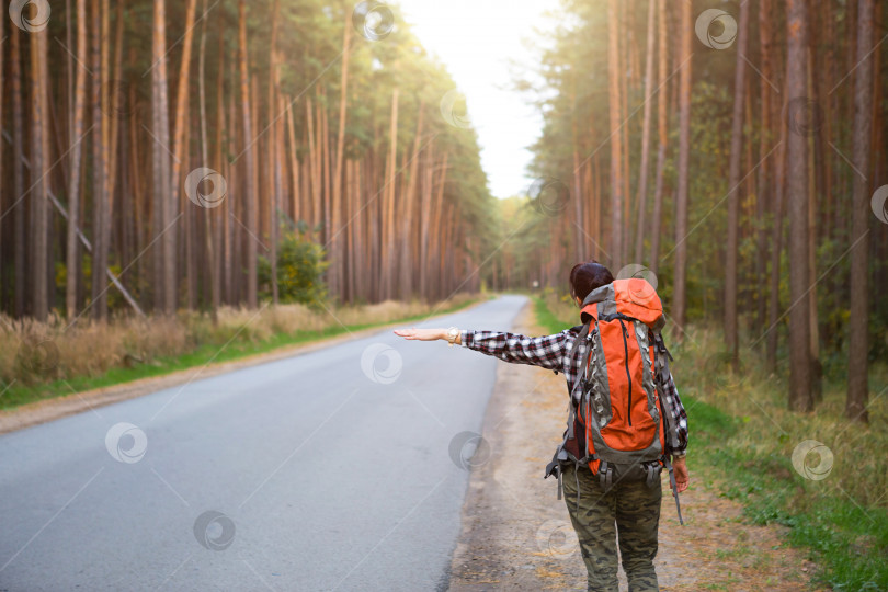 Скачать Туристка в клетчатой рубашке с большим оранжевым рюкзаком возле шоссе в лесу голосует за то, чтобы ее подвезли. Автостоп, внутренний туризм. Турист, приключение в одиночку, поездка, пеший поход фотосток Ozero