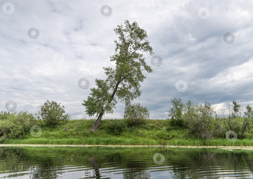 Скачать Лето в Сибири фотосток Ozero