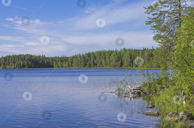 Скачать Озеро в Карелии. фотосток Ozero