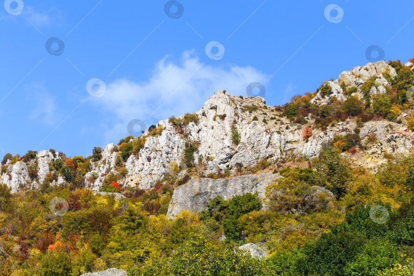 Скачать Гора Демерджи фотосток Ozero