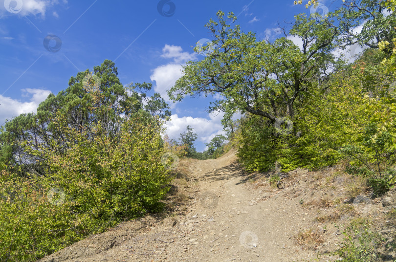 Скачать Грунтовая дорога в Крымских горах. фотосток Ozero