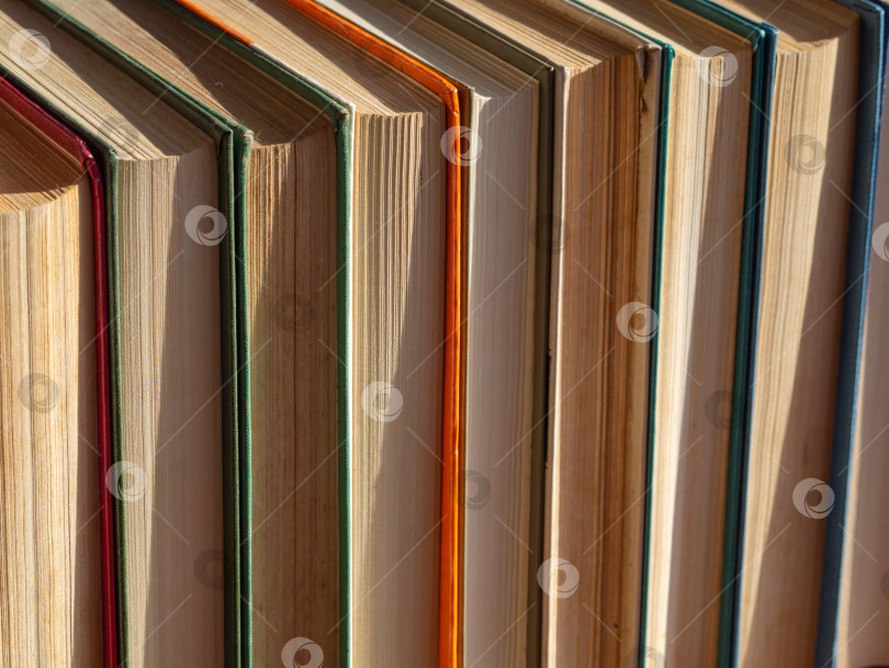 3D Высокая стопка книг в PNG, SVG