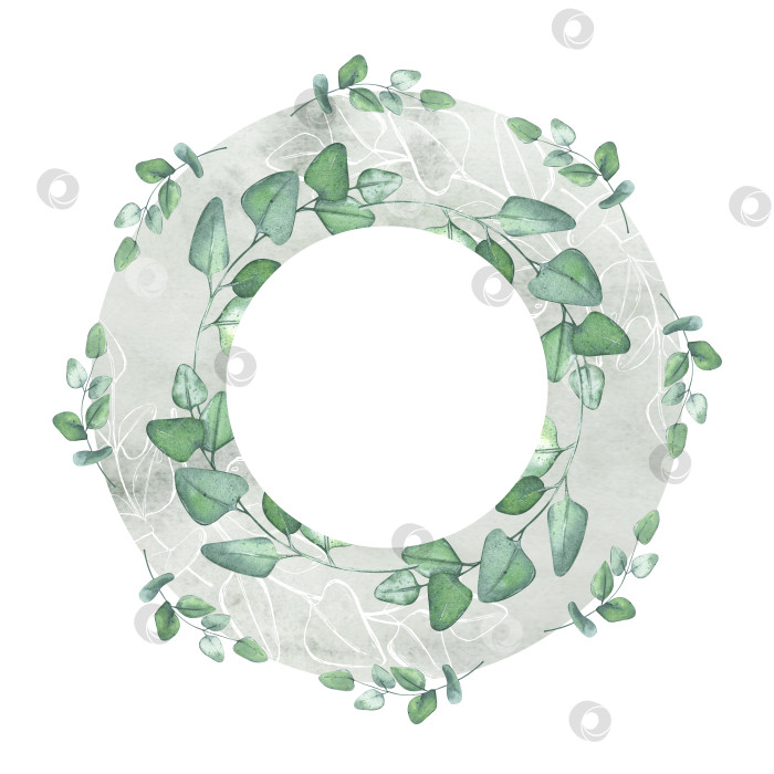 Скачать Венок из эвкалипта. Зеленая круглая рамка для деревенского фона. Шаблон в форме круга для баннера или приглашения на свадьбу. фотосток Ozero