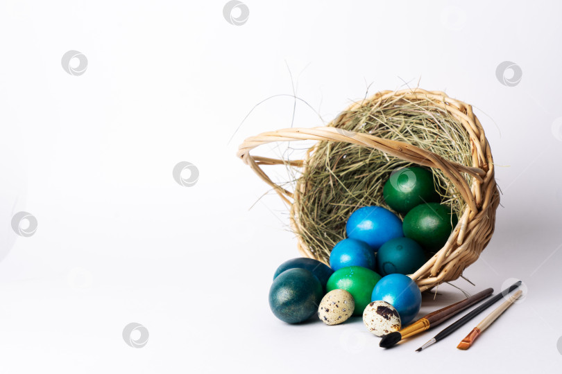 Скачать Пасхальный декор: Простая корзинка с крашеными яйцами и кисточками для росписи на белом фоне. фотосток Ozero