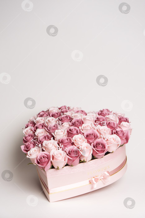 Скачать Цветы в цвету: Большой букет розовых и белых роз в коробке в форме сердца на белом фоне. фотосток Ozero