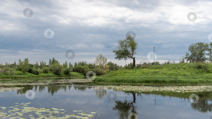 Скачать Лето в Сибири фотосток Ozero