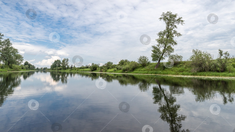 Скачать Лето в Сибири фотосток Ozero